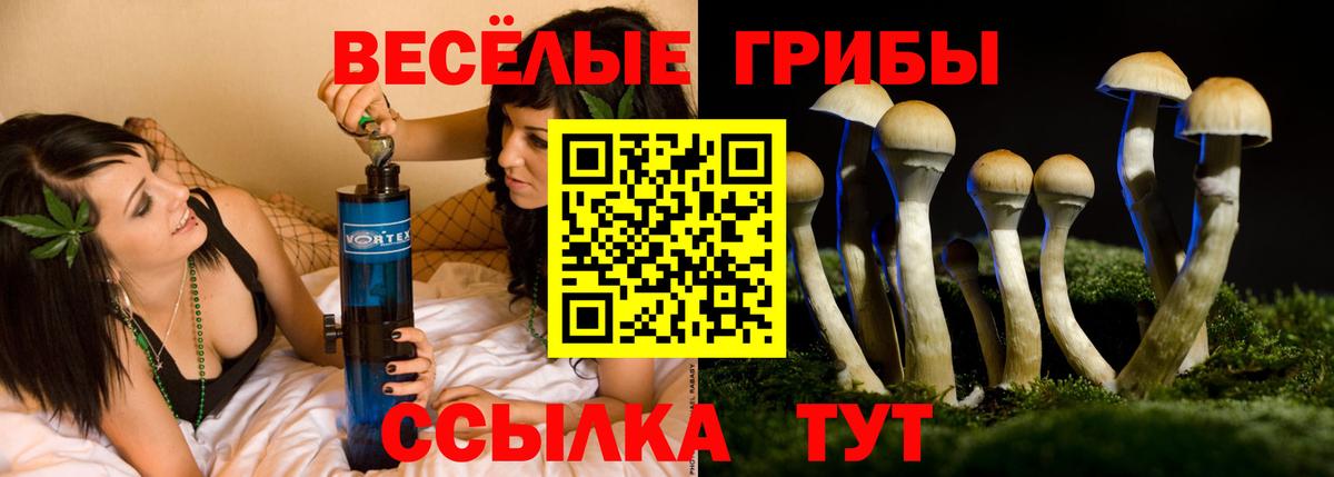 Псилоцибиновые грибы MAGIC MUSHROOMS Обь